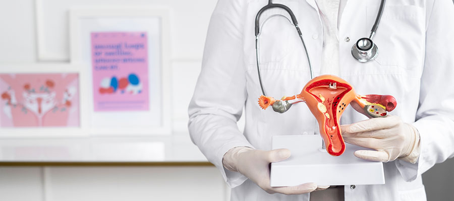 Endometrial Receptivity Assay(ERA)