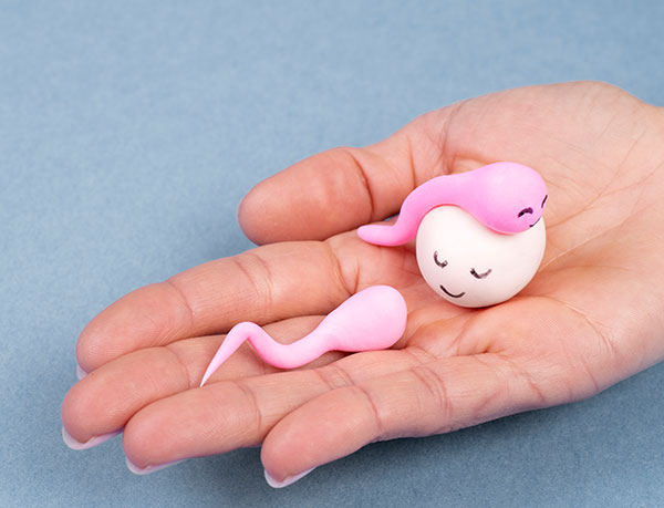 embryo-culture-img