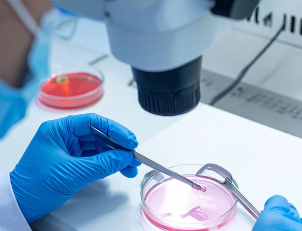 embryo-transfer-img